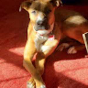 Meet your Posher, Jonathan